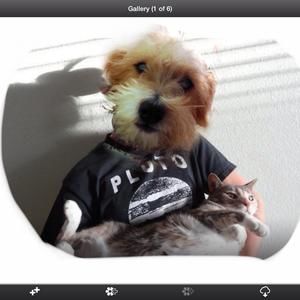 Meet your Posher, Jeffery